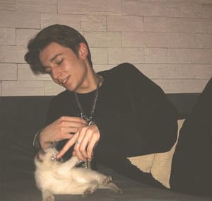 Ảnh đại diện của Thái Sơn